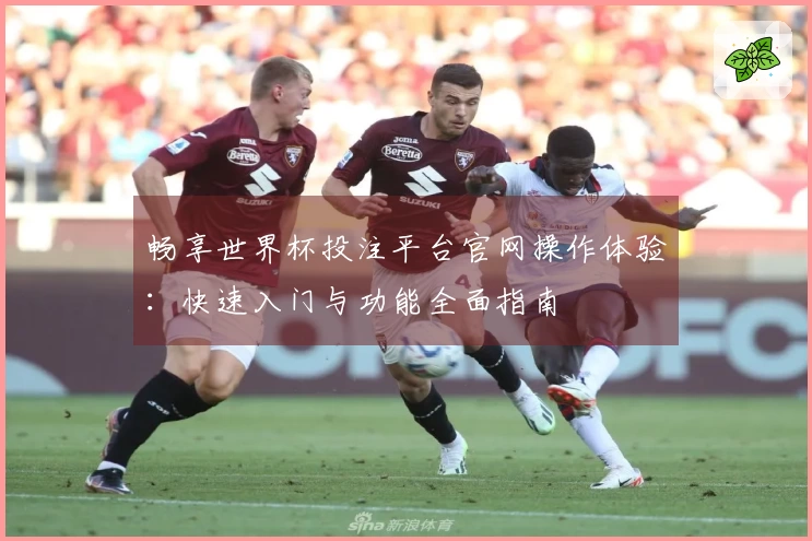 畅享世界杯投注平台官网操作体验：快速入门与功能全面指南