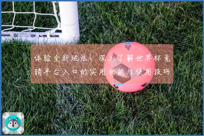 体验全新玩法，深入了解世界杯竞猜平台入口的实用功能与使用技巧