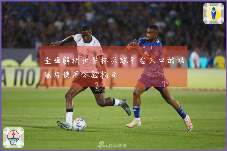 全面解析世界杯买球平台入口的功能与使用体验指南