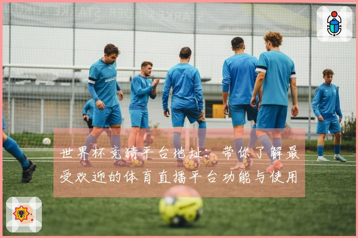 世界杯竞猜平台地址：带你了解最受欢迎的体育直播平台功能与使用体验